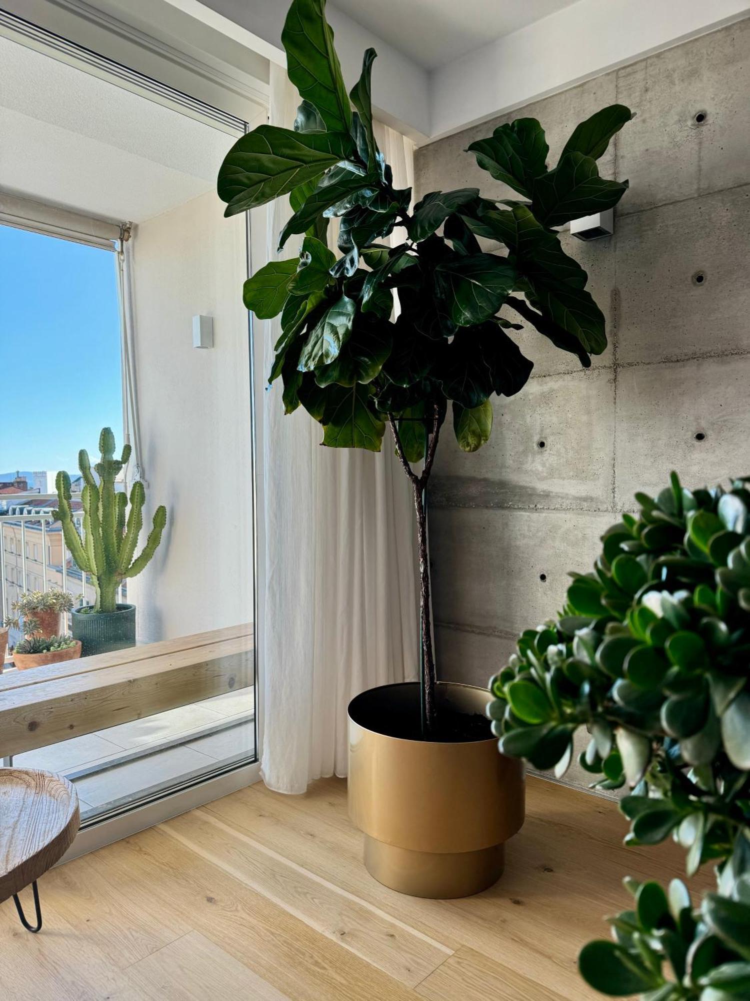 Apartament D'Art Penthouse Split Zewnętrze zdjęcie